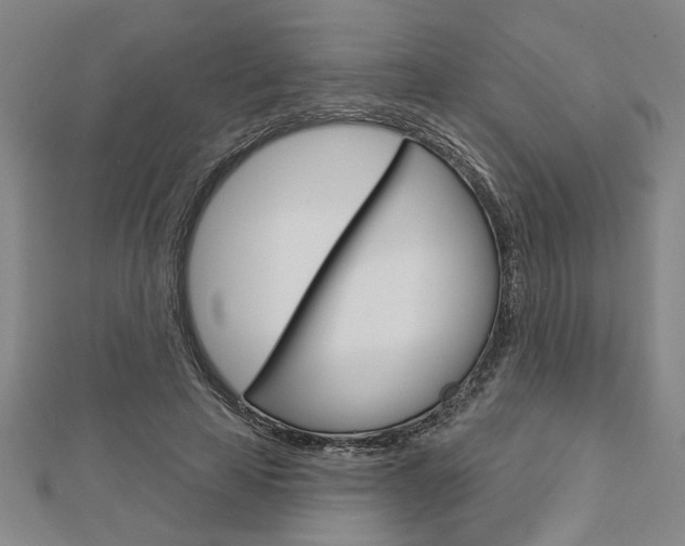 X0000112980641200908270919