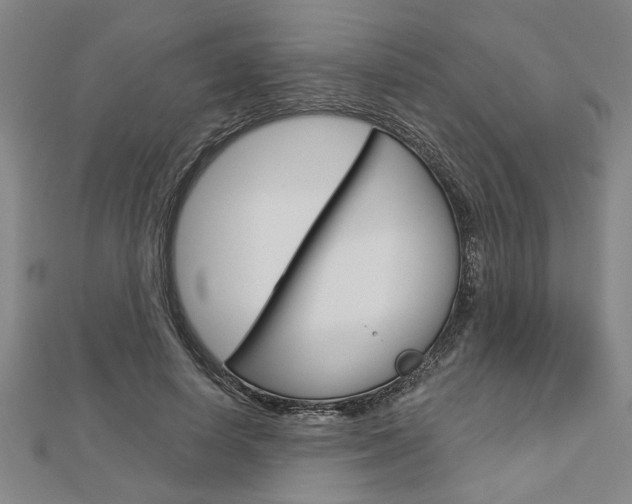 X0000112980642200908270919