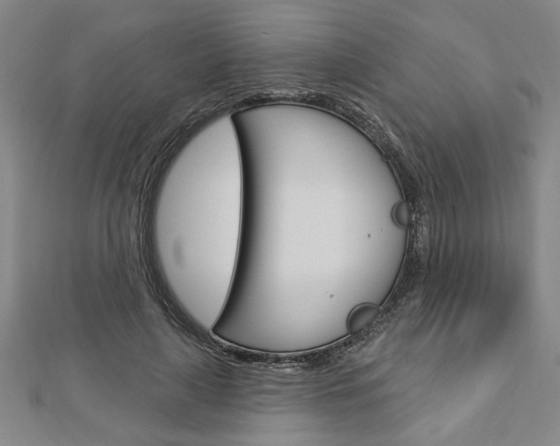 X0000112980643200908270919