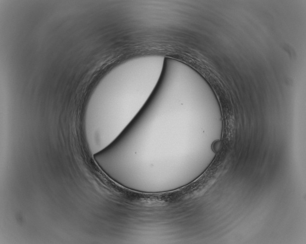 X0000112980644200908270919