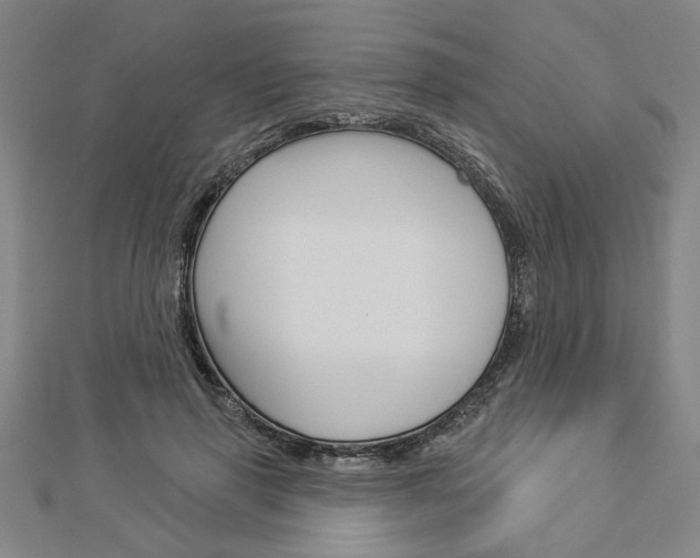 X0000112980645200908270919