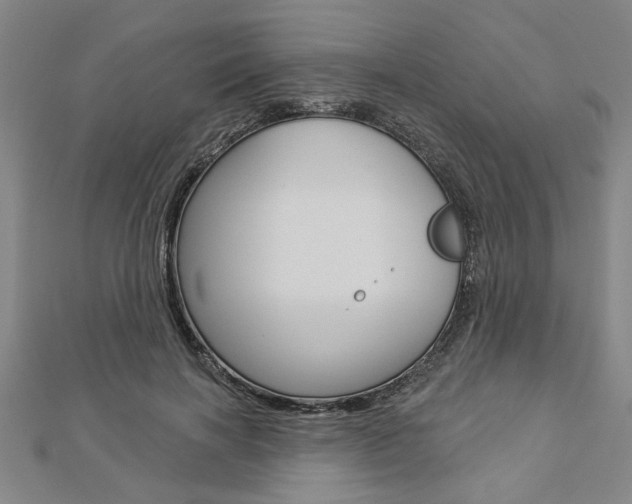 X0000112980646200908270919