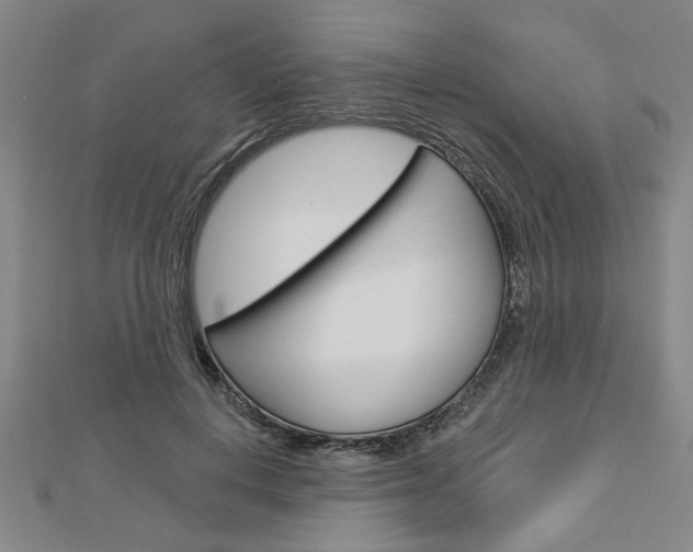 X0000112980648200908270919
