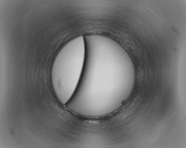 X0000112980649200908270919