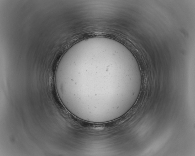 X0000112980651200908270919