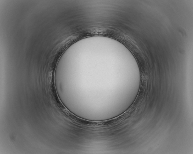 X0000112980652200908270919
