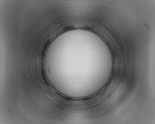 X0000112980653200908270919