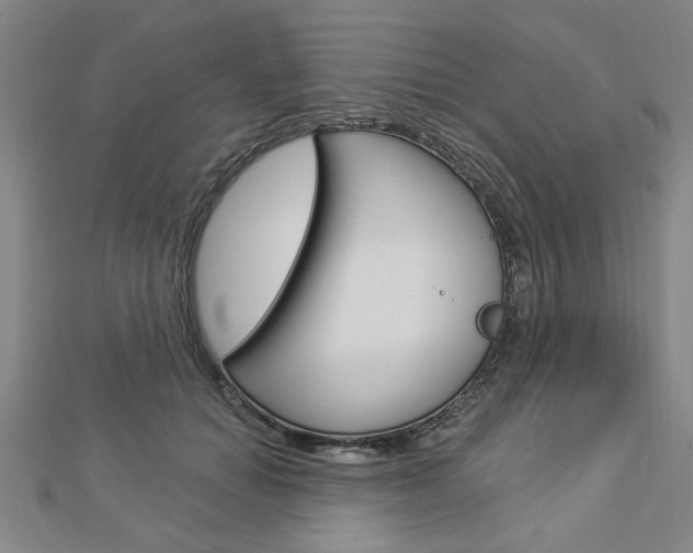 X0000112980654200908270919