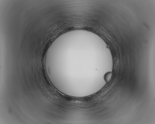 X0000112980655200908270919