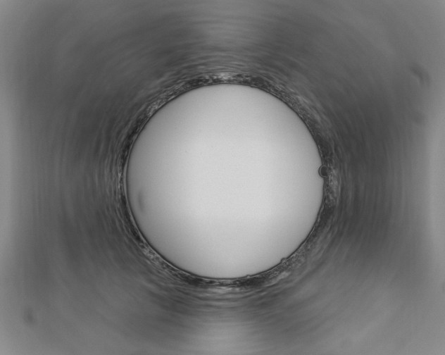 X0000112980657200908270919