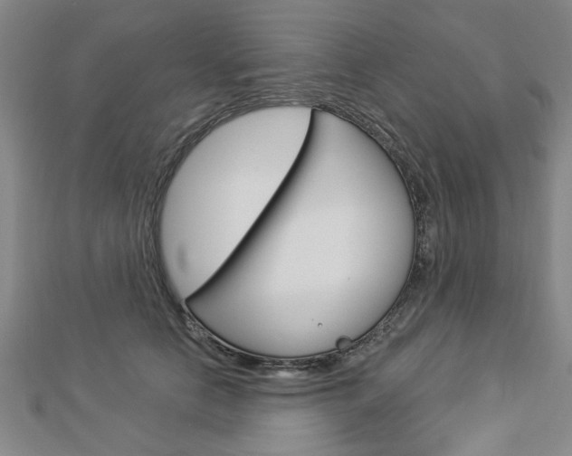 X0000112980658200908270919