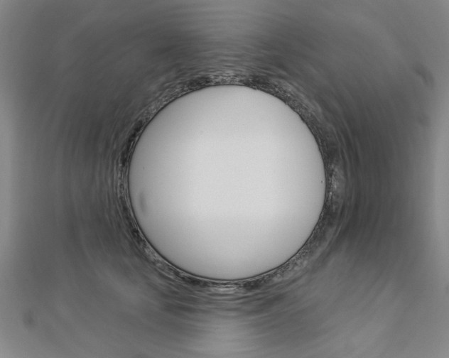 X0000112980659200908270919
