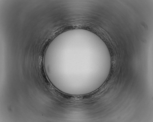 X0000112980660200908270919