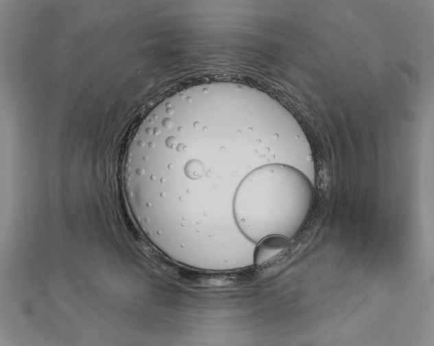 X0000112980662200908270919