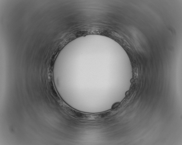 X0000112980663200908270919