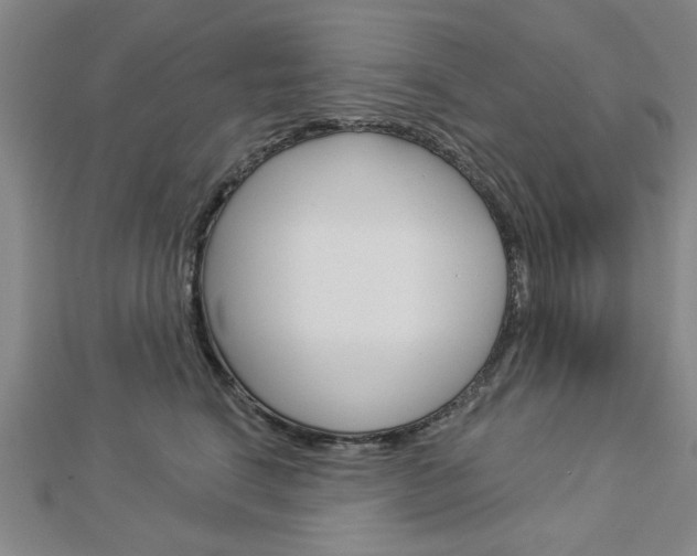 X0000112980664200908270919