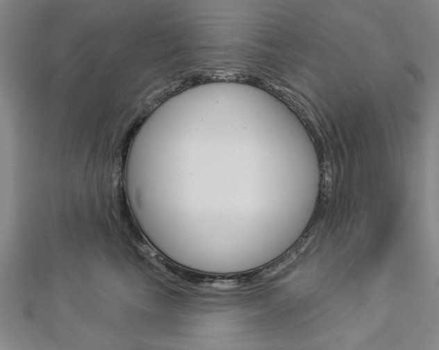 X0000112980665200908270919