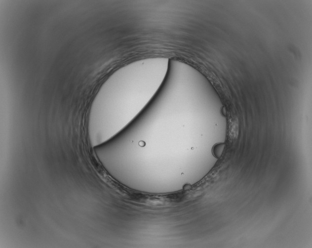 X0000112980666200908270919