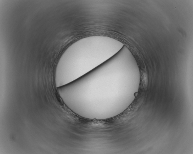 X0000112980668200908270919