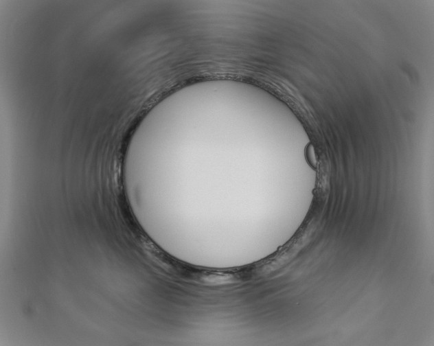 X0000112980669200908270920