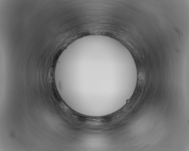 X0000112980671200908270920