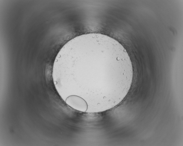 X0000112980672200908270920