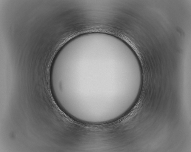 X0000112980673200908270919