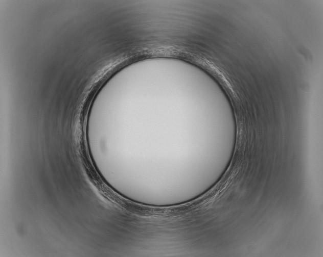 X0000112980674200908270919
