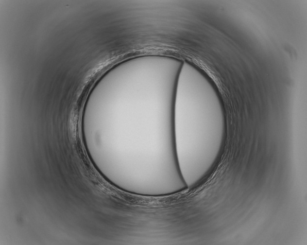 X0000112980675200908270919