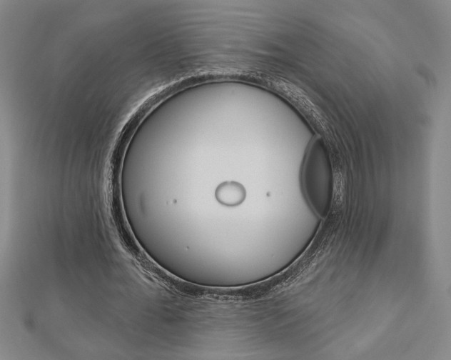 X0000112980676200908270919