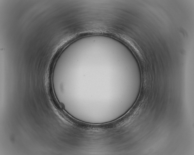 X0000112980677200908270919