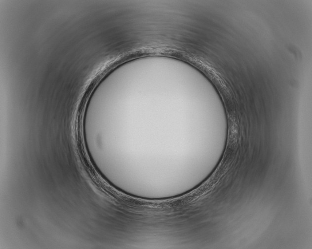X0000112980678200908270919