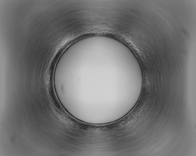 X0000112980679200908270919