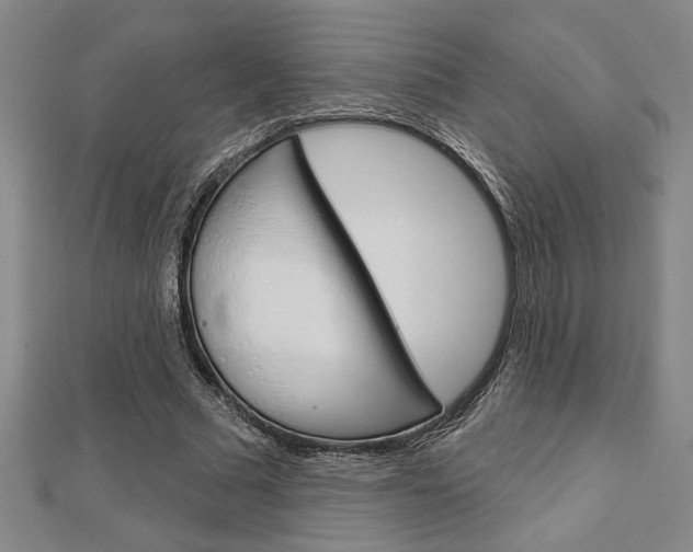 X0000112980681200908270919
