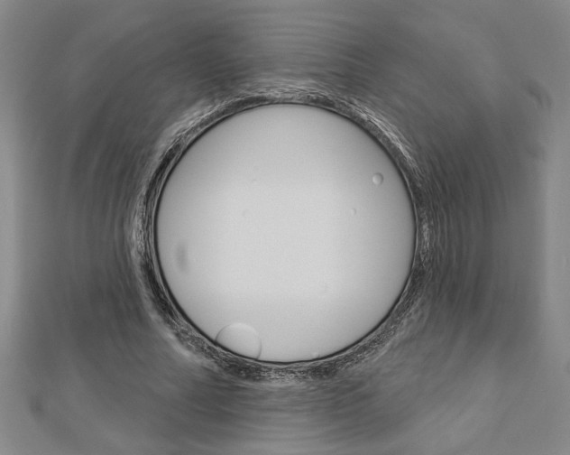 X0000112980682200908270919