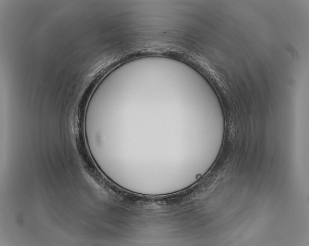 X0000112980683200908270919