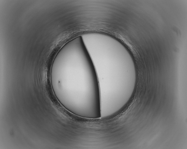 X0000112980685200908270919