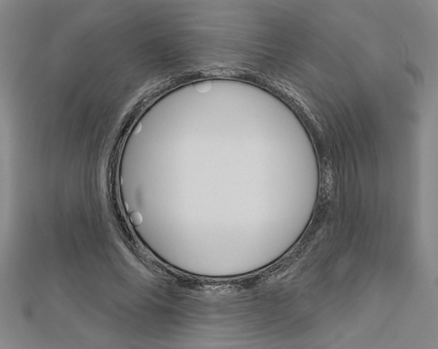 X0000112980686200908270919
