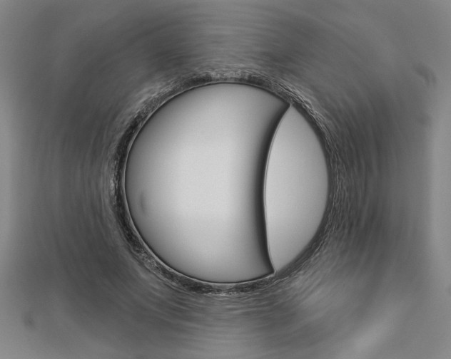 X0000112980687200908270919