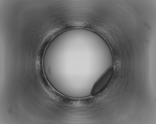 X0000112980688200908270919
