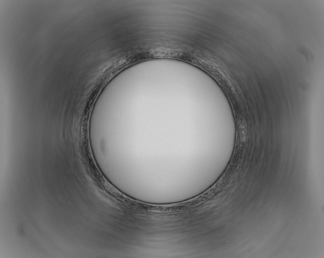 X0000112980690200908270919