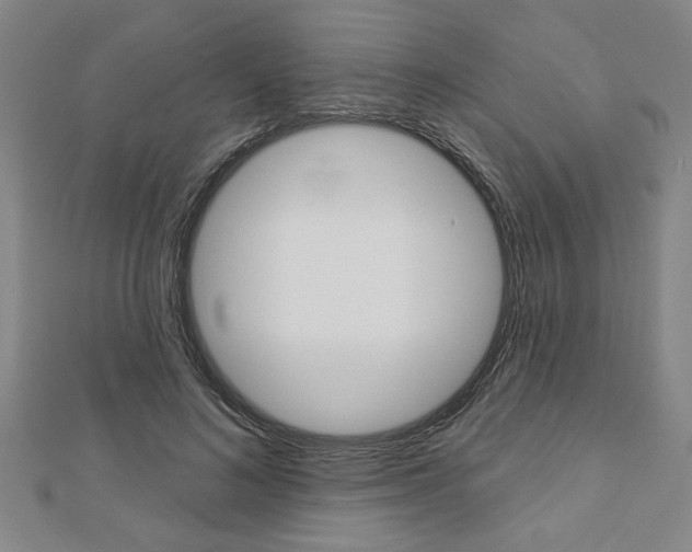 X0000112980692200908270919