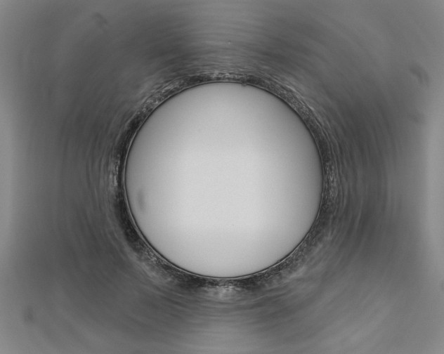 X0000112980695200908270918