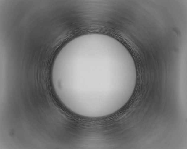 X0000112980696200908270918