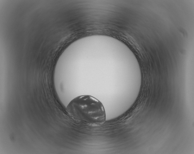 X0000112980697200908270918
