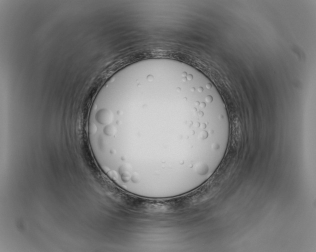 X0000112980698200908270918