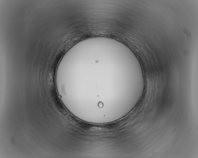 X0000112980699200908270918