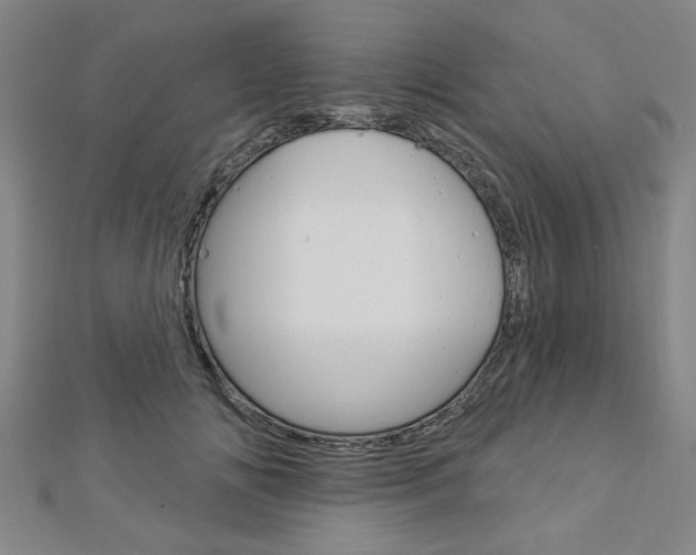 X0000112980702200908270918