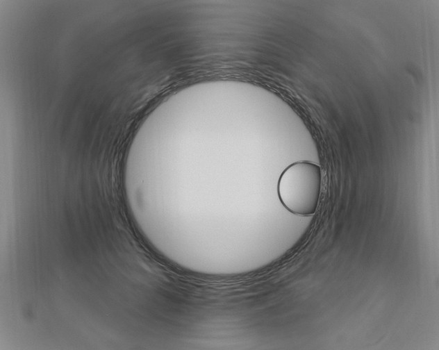 X0000112980704200908270918