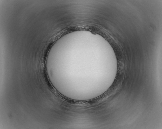 X0000112980707200908270918